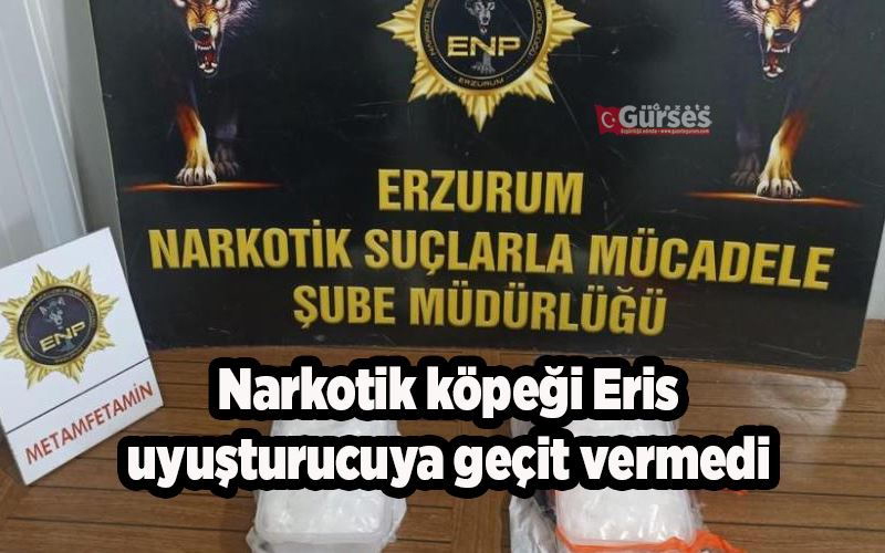  Narkotik köpeği Eris uyuşturucuya geçit vermedi