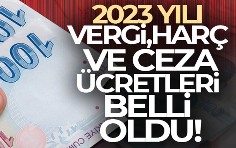 2023 yılı vergi, harç ve ceza ücretleri belli oldu