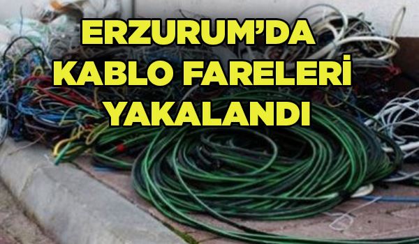 750 metre haberleşme ve enerji nakil kablosunu çalan 3 kişi yakalandı