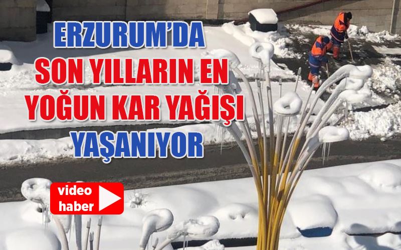 Erzurum kara teslim