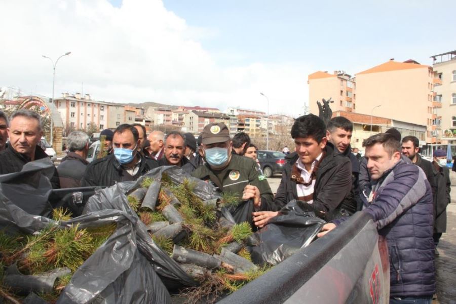  Fidan dağıtımında izdiham yaşandı