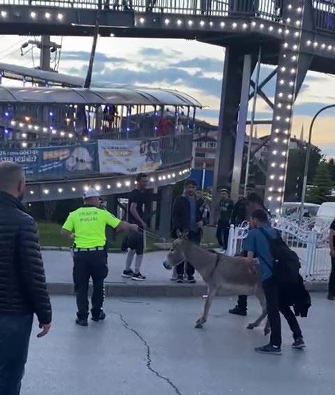 Erzurum’da güldüren olay