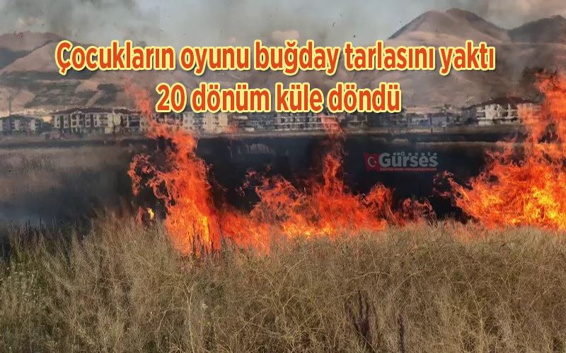 Çocukların oyunu buğday tarlasını yaktı, 20 dönüm küle döndü