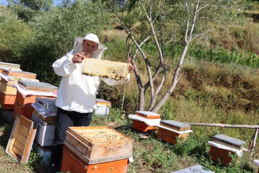 Şeker hastaları için bal üretiyor