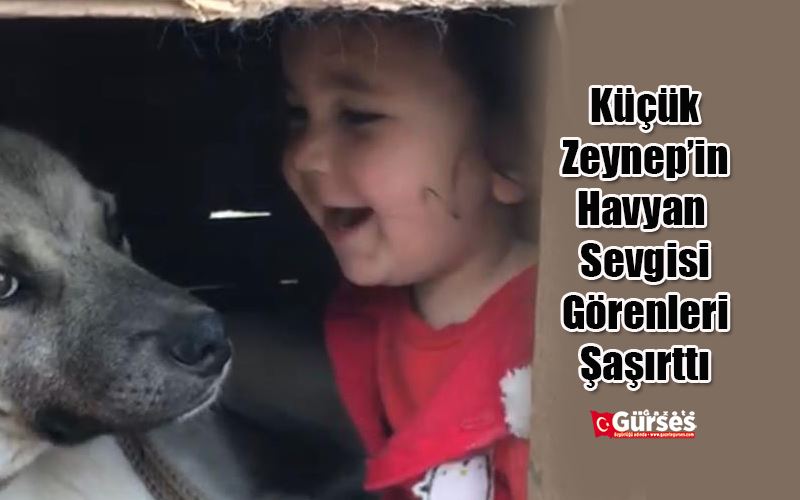  Erzurum’da küçük çocuğun köpek sevgisi görenleri gülümsetti