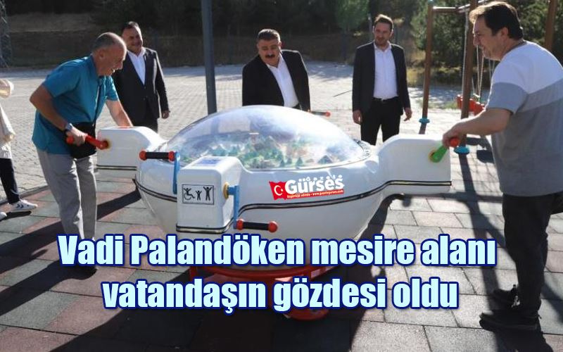 Vadi Palandöken mesire alanı vatandaşın gözdesi oldu