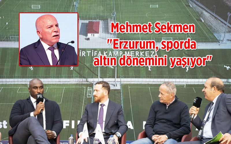 Mehmet Sekmen: 