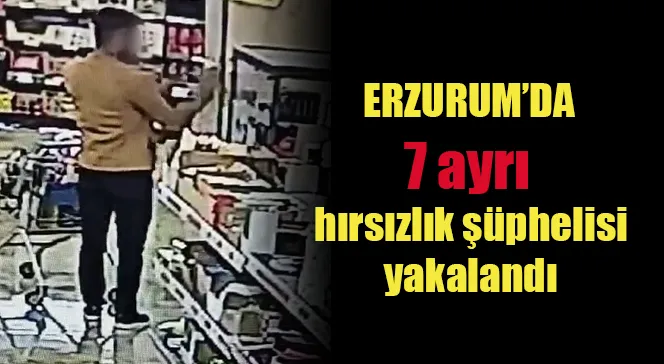 7 ayrı hırsızlık şüphelisi yakalandı