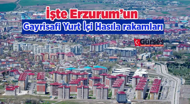 İşte Erzurum’un Gayrisafi Yurt İçi Hasıla rakamları