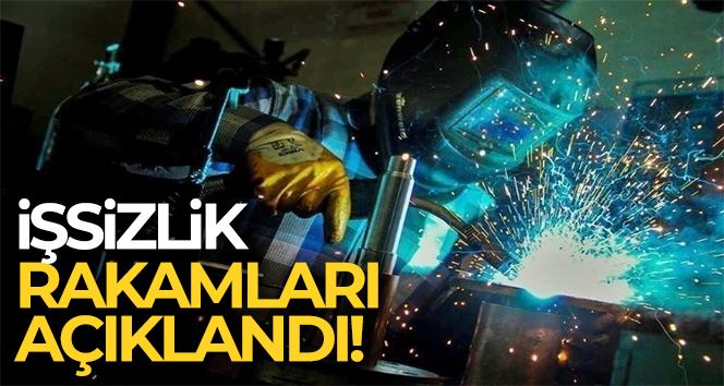 İşsizlik oranı Ocak ayında yüzde 9,7 oldu