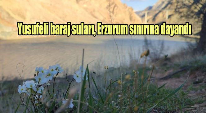 Yusufeli baraj suları, Erzurum sınırına dayandı