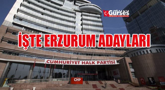 CHP milletvekili adayları  belli oldu