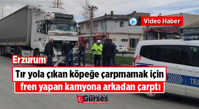 Tır yola çıkan köpeğe çarpmamak için fren yapan kamyona arkadan çarptı