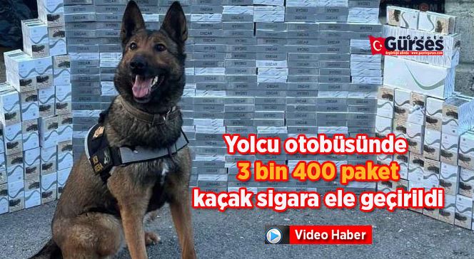 Yolcu otobüsünde 3 bin 400 paket kaçak sigara ele geçirildi