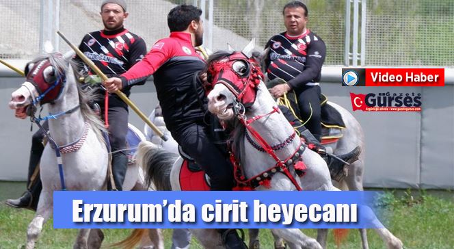 Erzurum’da cirit heyecanı