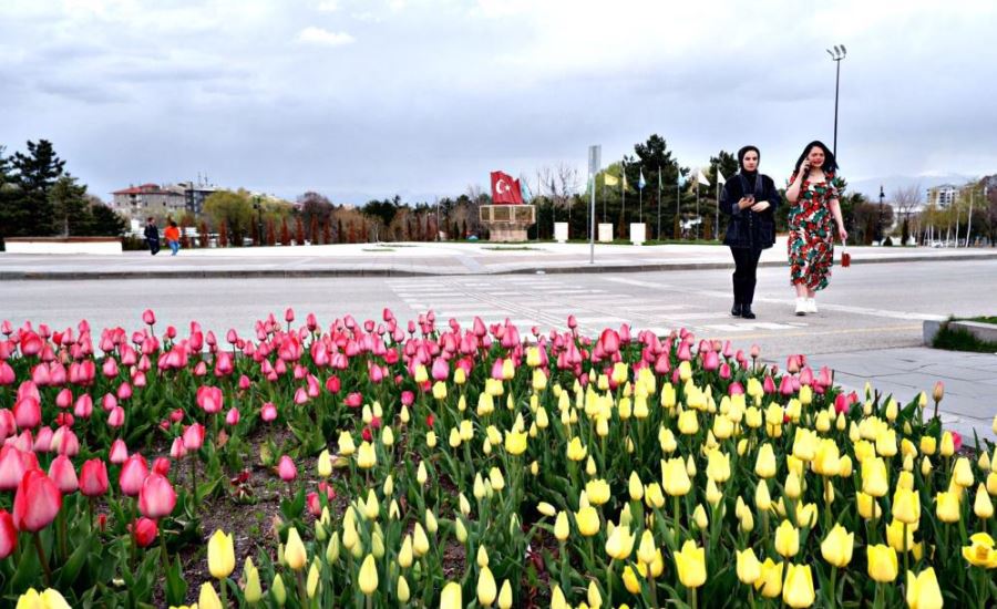 Şimdi Erzurum’da lale zamanı