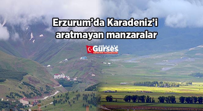 Erzurum’da Karadeniz’i aratmayan manzaralar