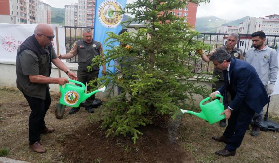 Erzurum Sağlık Müdürlüğü’nden fidan dikimi