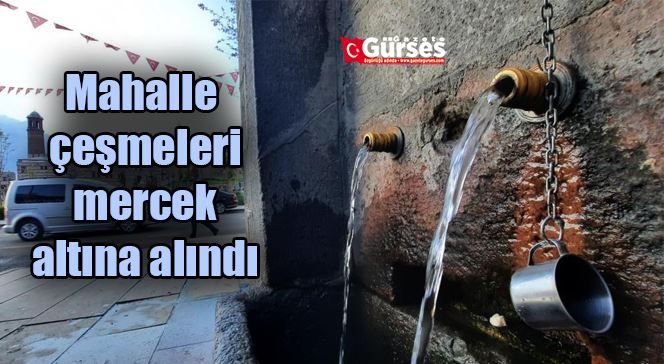 Mahalle çeşmeleri mercek altına alındı