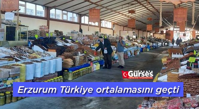 Erzurum Türkiye ortalamasını geçti