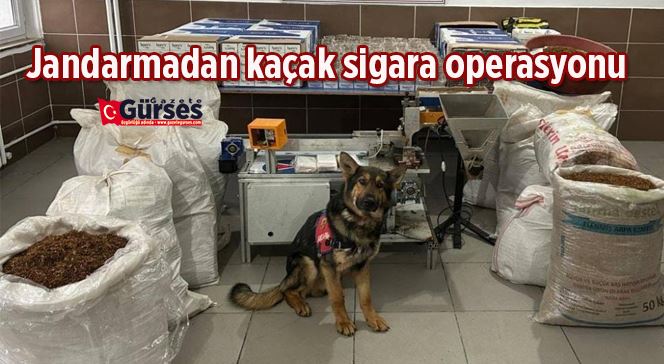 Jandarmadan kaçak sigara operasyonu