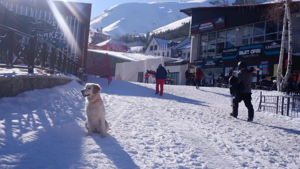 Hera ve Haydut Palandöken’in maskotu oldu