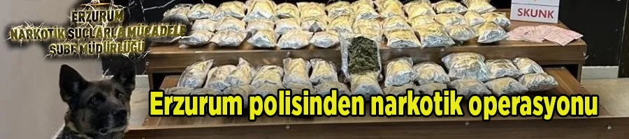 Erzurum polisinden narkotik operasyonu