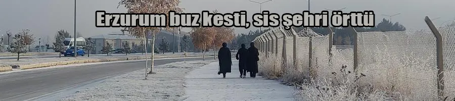 Erzurum buz kesti, sis şehri örttü