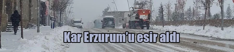 Kar Erzurum’u esir aldı