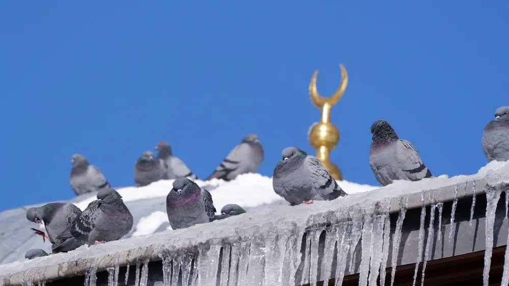 Erzurum’da termometreler -18’i gösterdi