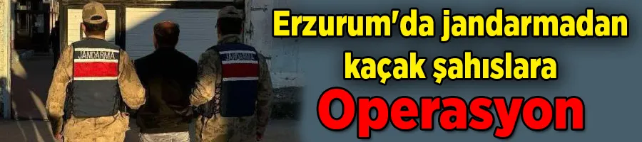 Jandarma Erzurum’da 35 bin 180 aracı kontrol etti