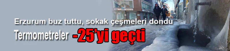 Erzurum buz tuttu, sokak çeşmeleri dondu