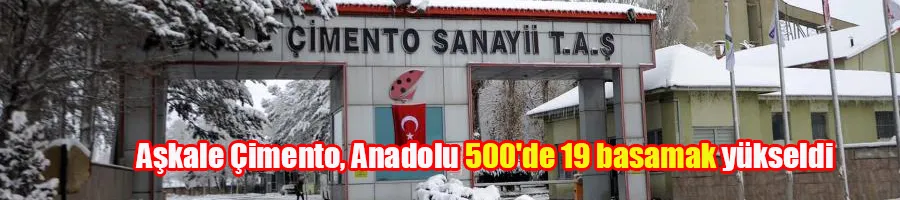 Aşkale Çimento, Anadolu 500