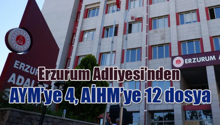 Erzurum Adliyesi’nden AYM’ye 4, AİHM’ye 12 dosya