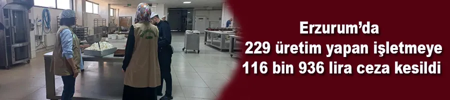 Erzurum’da 229 işletmeye denetim