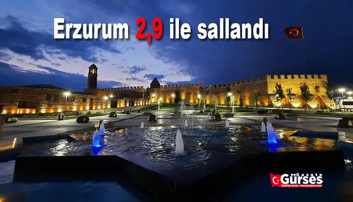 Erzurum 2,9 ile sallandı