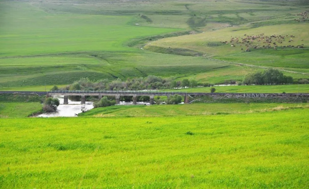 Erzurum mera ve çayır zengini