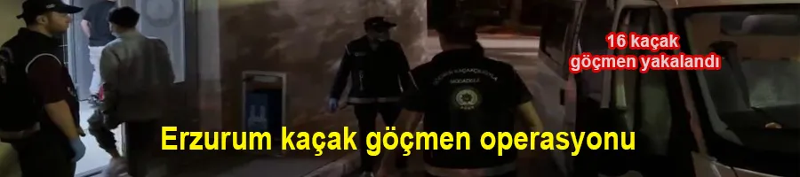 Erzurum kaçak göçmen operasyonu: 16 kaçak göçmen yakalandı