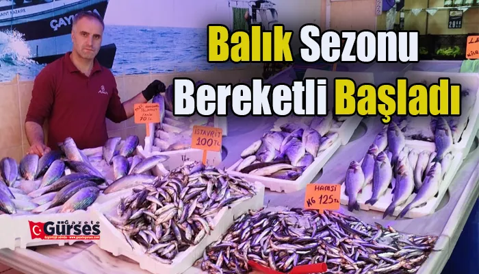 Balık Sezonu Bereketli Başladı