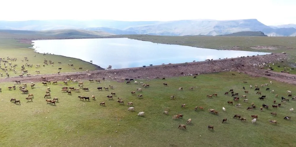 Gölet yapımında Türkiye’ye örnek olan şehir: Erzurum