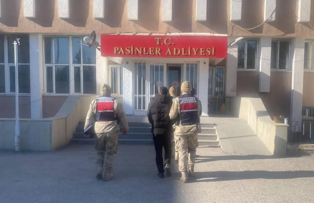 Jandarma büyükbaş hayvan hırsızlarını kısa sürede yakaladı