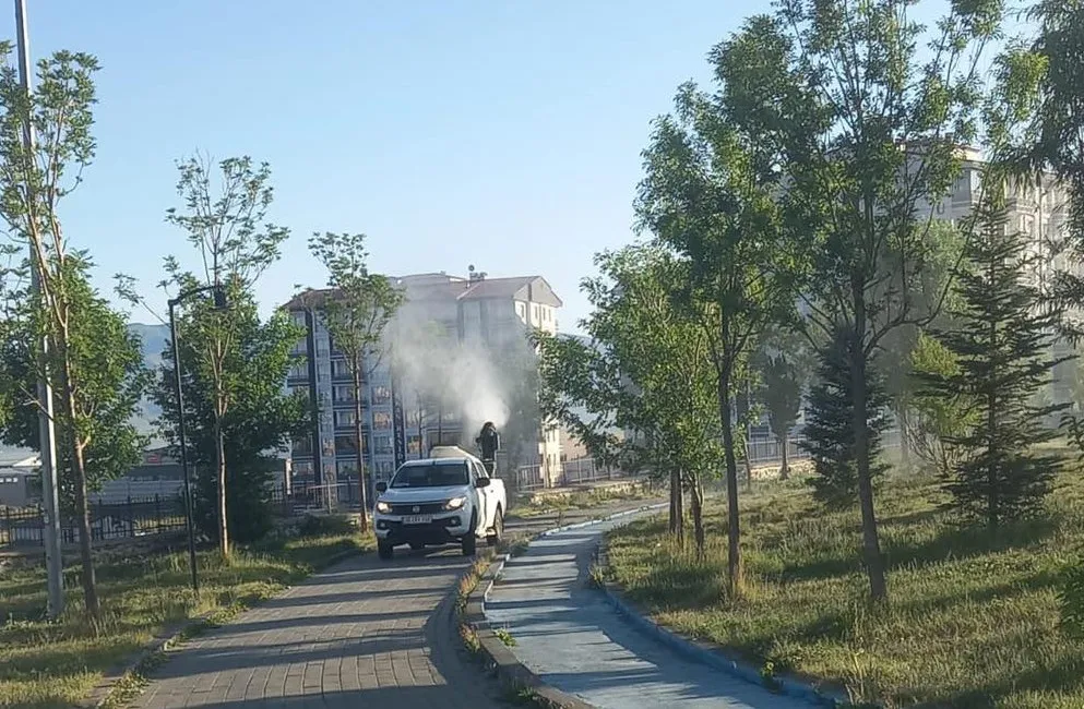 Büyükşehir
