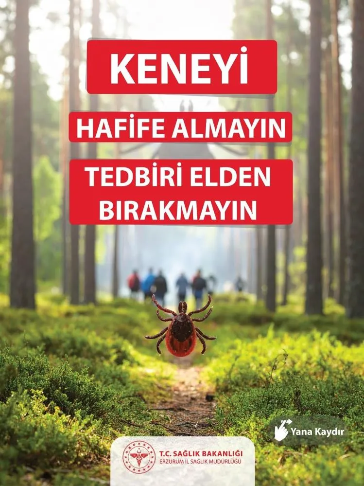 Uzmanlardan kene uyarısı