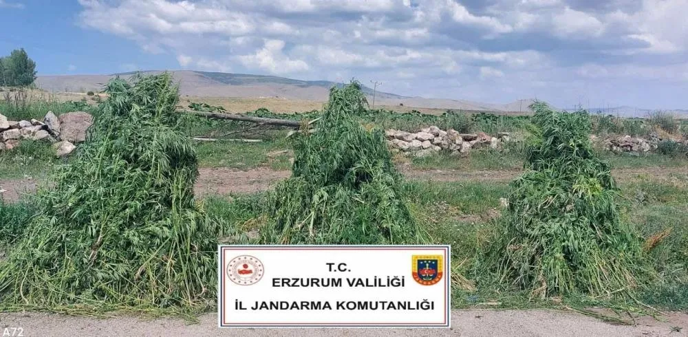 Erzurum
