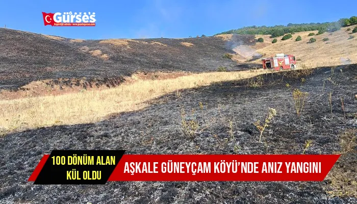 Aşkale Güneyçam Köyü’nde anız yangını: 100 dönüm alan kül oldu