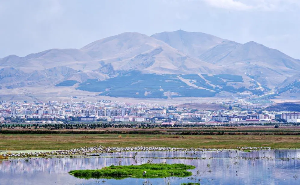 Erzurum