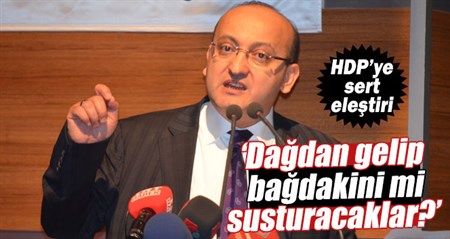 Yalçin Akdogan: ‘Dagdan gelip bagdakini mi susturacaklar?