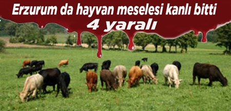 Erzurum da Hayvan meselesi yüzünden 4 yarali