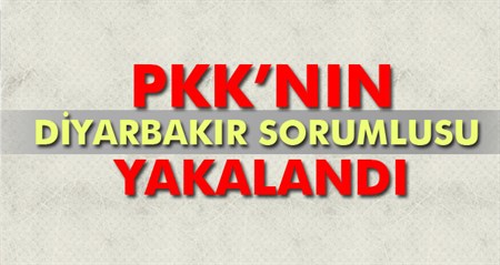 PKK’nin Diyarbakir sorumlusu yakalandi