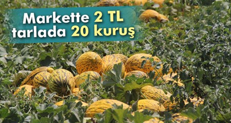 Markette kilosu 2 TL